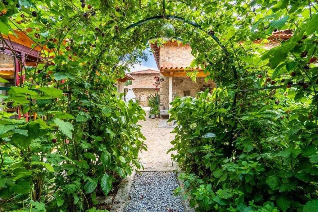 Casas Casal Do Carvalhal - Agroturismo Амариш Экстерьер фото